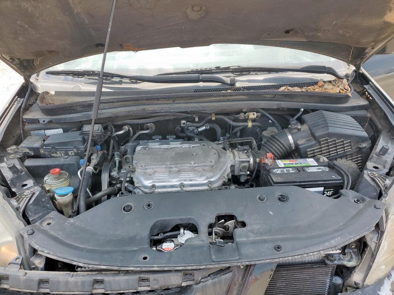 2010 Honda Odyssey Exl VIN: 5FNRL3H75AB101801 Lot: 80791965