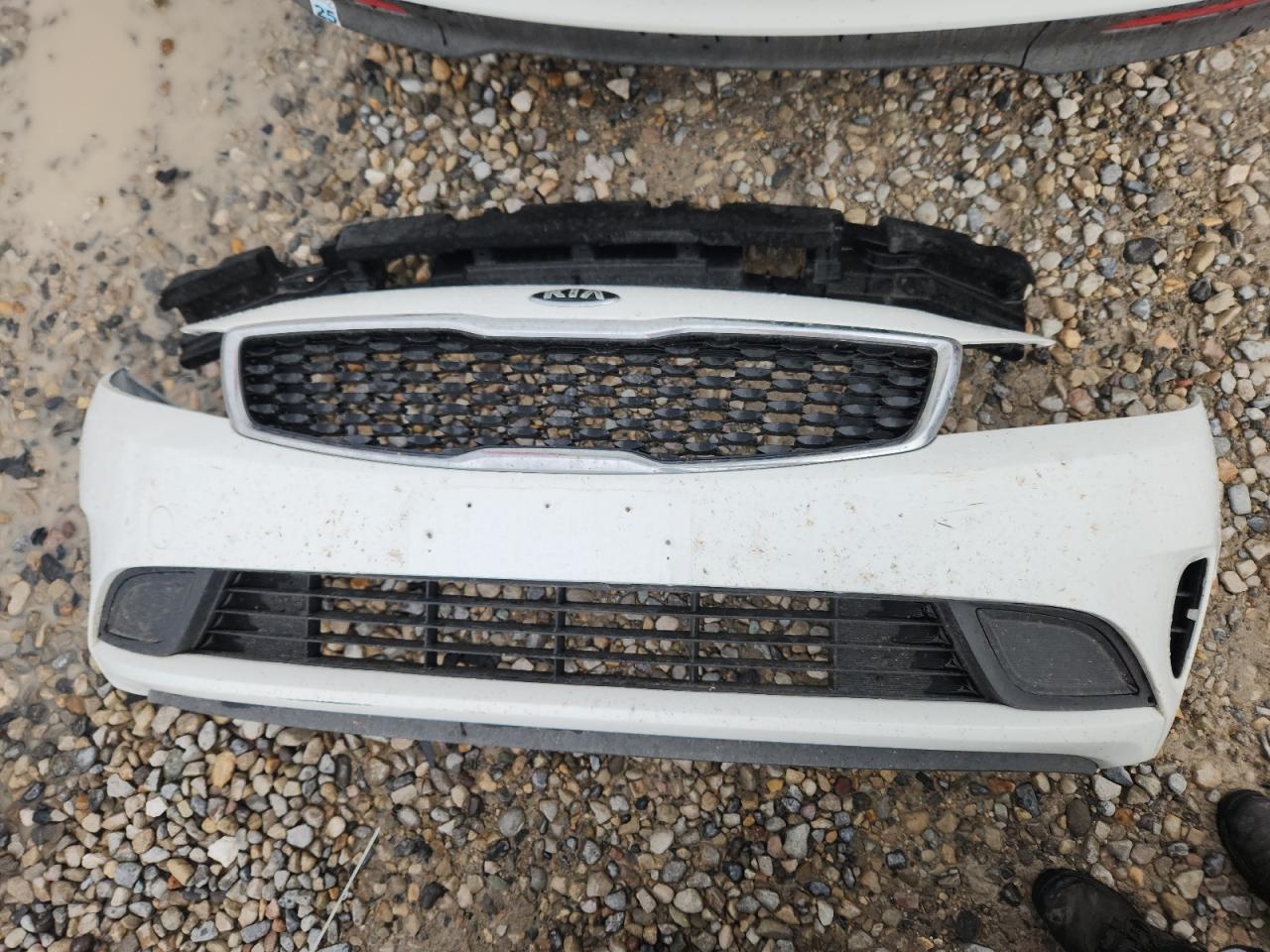 2017 Kia Forte Lx VIN: 3KPFK4A71HE160446 Lot: 84217625