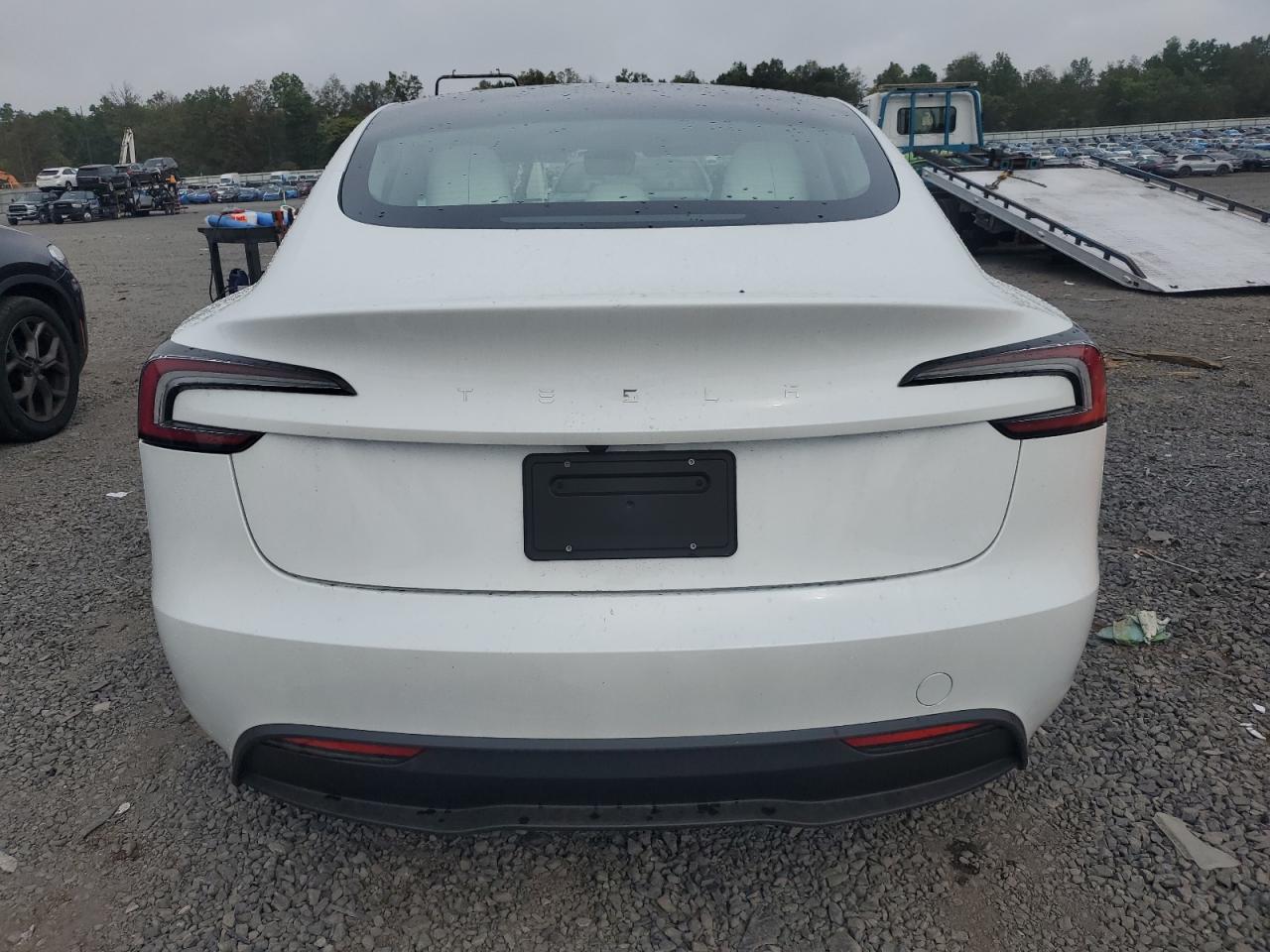 2025 Tesla Model 3 VIN: 5YJ3E1EA4SF027678 Lot: 81749305