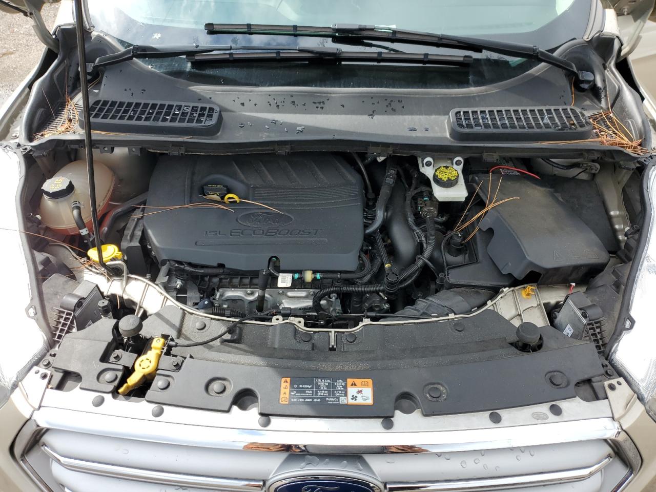 2017 Ford Escape Se VIN: 1FMCU0GD4HUD81815 Lot: 84229415