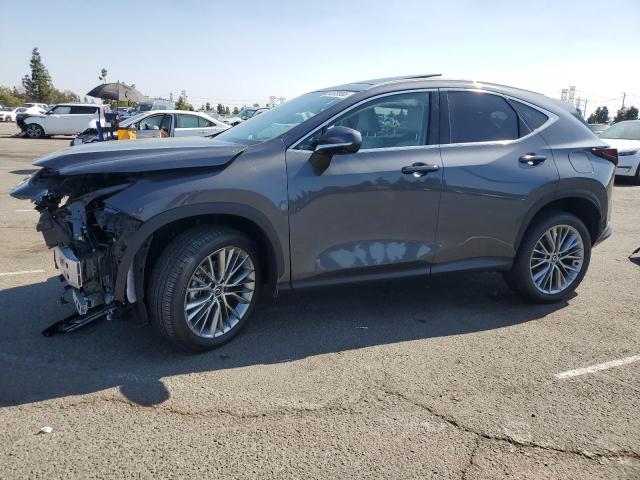 LEXUS NX 350H BA 2025