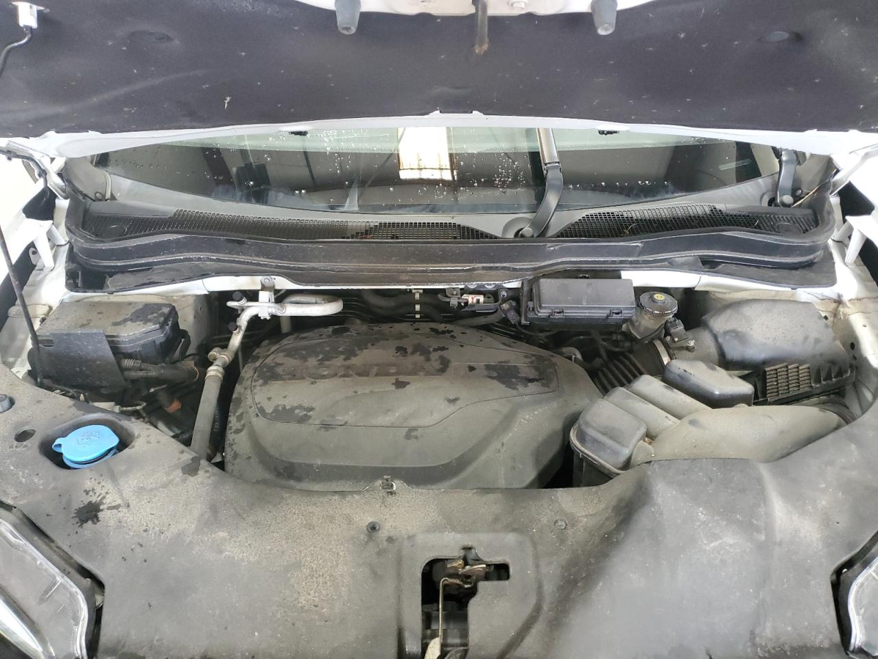 2021 Honda Passport Exl VIN: 5FNYF8H5XMB033837 Lot: 71701255