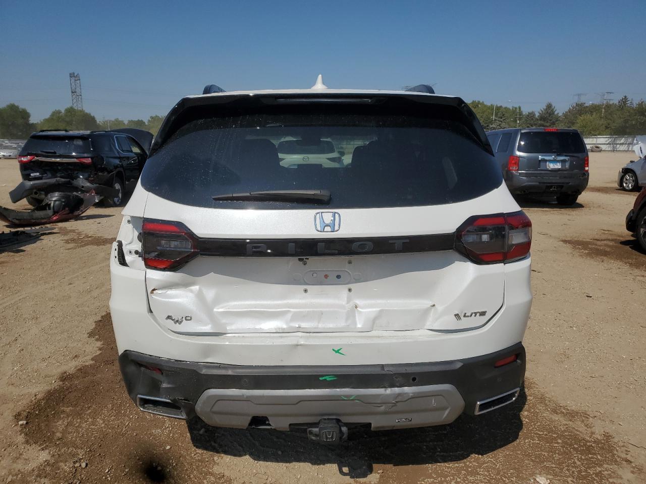 2023 Honda Pilot Elite VIN: 5FNYG1H87PB013094 Lot: 71628395