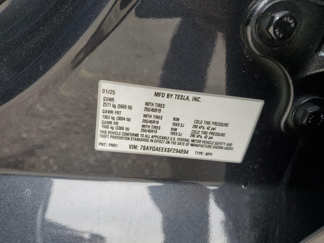2025 Tesla Model Y VIN: 7SAYGAEEXSF294894 Lot: 81887075