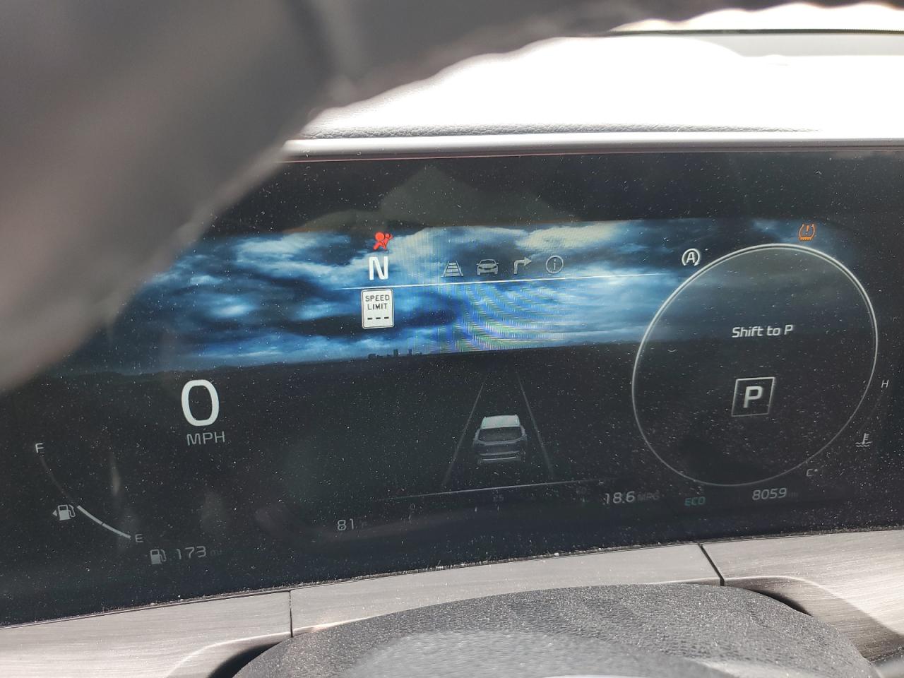 2024 Kia Telluride Sx VIN: 5XYP5DGC6RG549023 Lot: 81596325