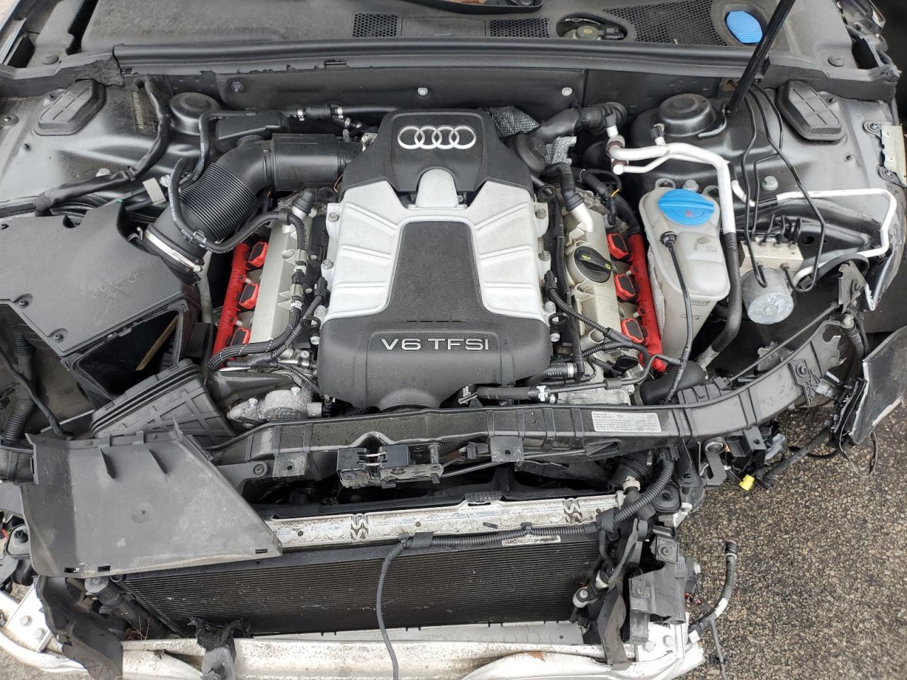 2016 Audi S5 Premium Plus VIN: WAUC4AFR7GA026481 Lot: 81136265