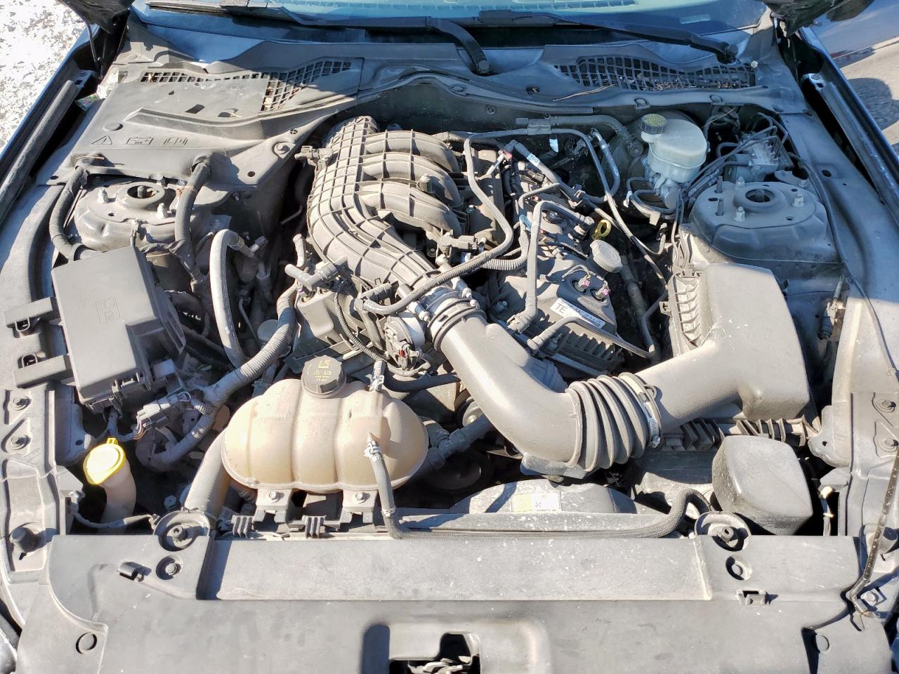 2015 Ford Mustang VIN: 1FA6P8AM2F5338099 Lot: 80368685