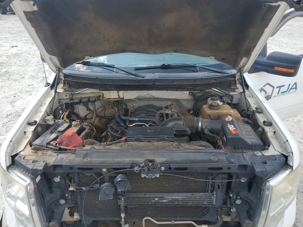 2013 Ford F150 Supercrew VIN: 1FTFW1EF9DFA59658 Lot: 81273315