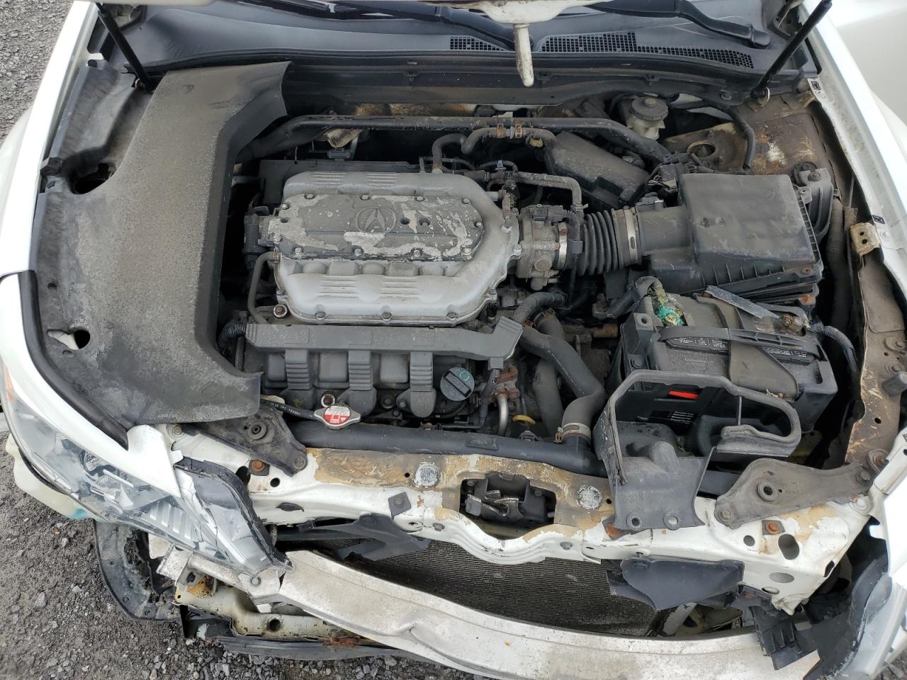 2009 Acura Tl VIN: 19UUA86529A801585 Lot: 81064275