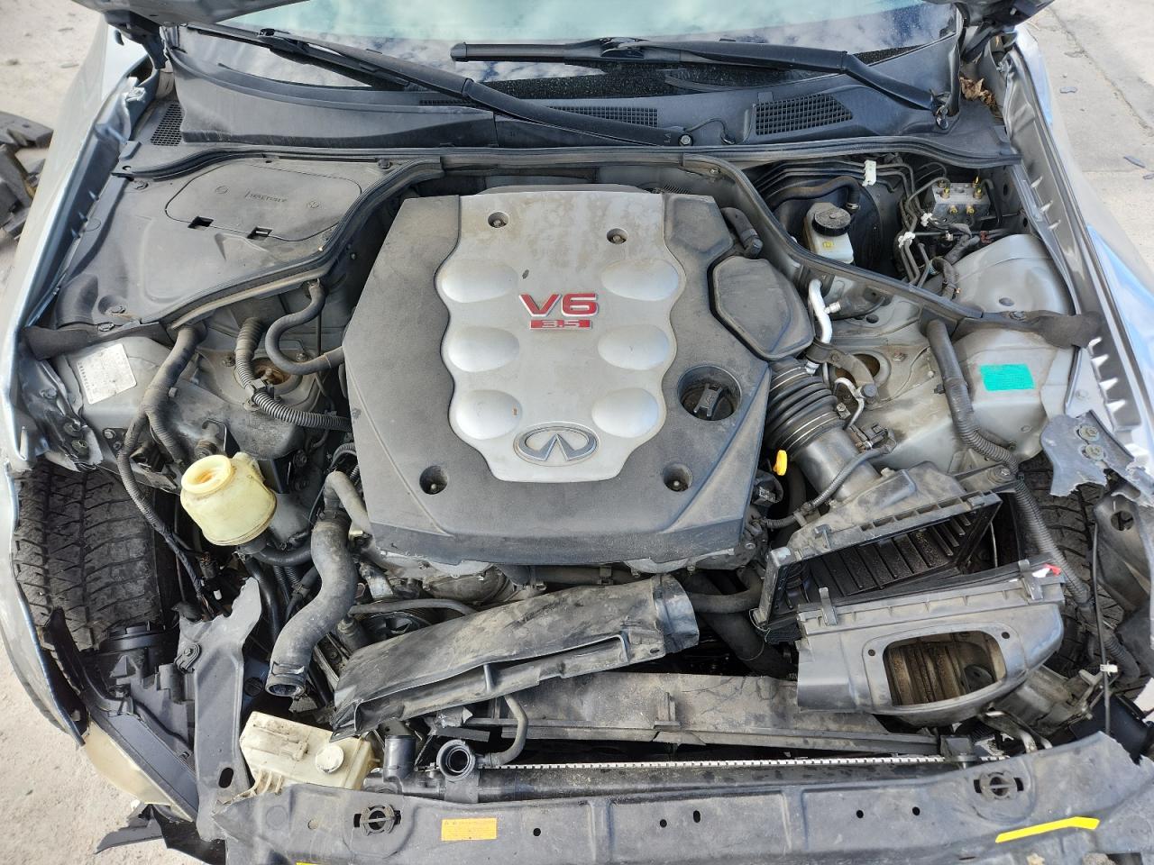 2006 Infiniti G35 VIN: JNKCV54E36M707126 Lot: 71934665