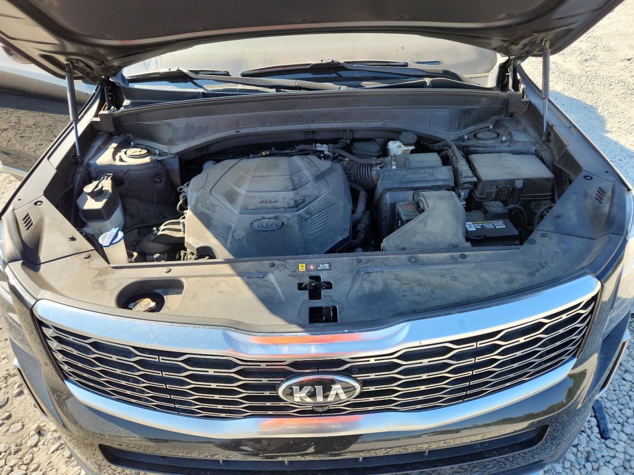2020 Kia Telluride Sx VIN: 5XYP54HCXLG074384 Lot: 81750415