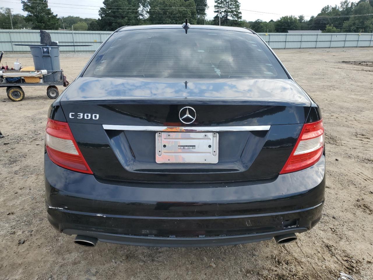 2010 Mercedes-Benz C 300 VIN: WDDGF5EB9AR119236 Lot: 84248125