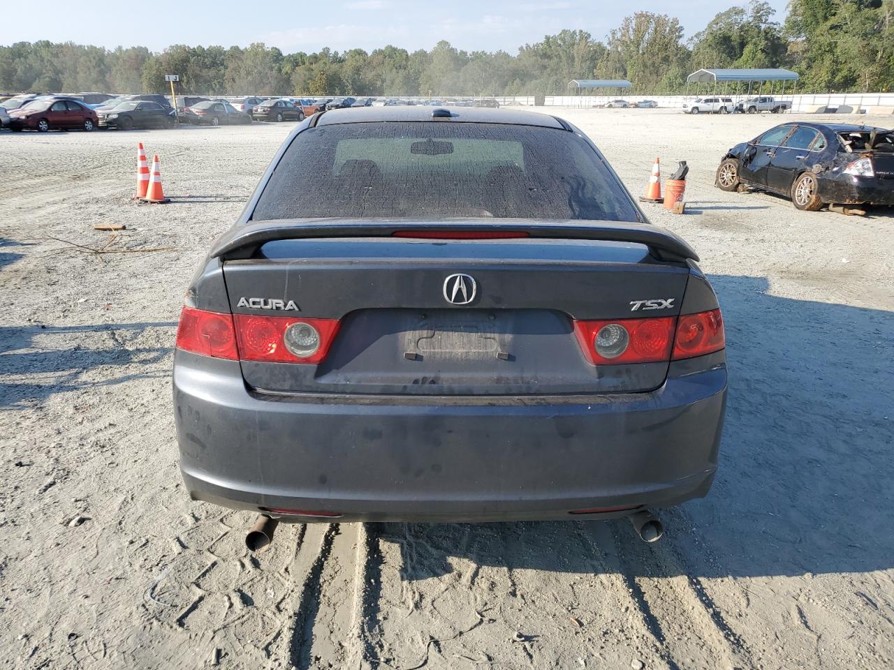 2008 Acura Tsx VIN: JH4CL95988C005701 Lot: 80465085