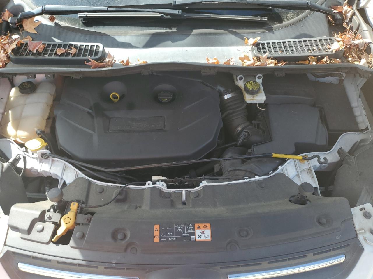 2015 Ford Escape Se VIN: 1FMCU0G93FUB56052 Lot: 80960285