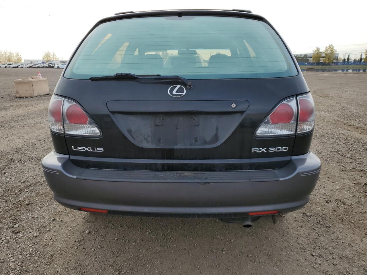 2003 Lexus Rx 300 VIN: JTJHF10U030305364 Lot: 81919815