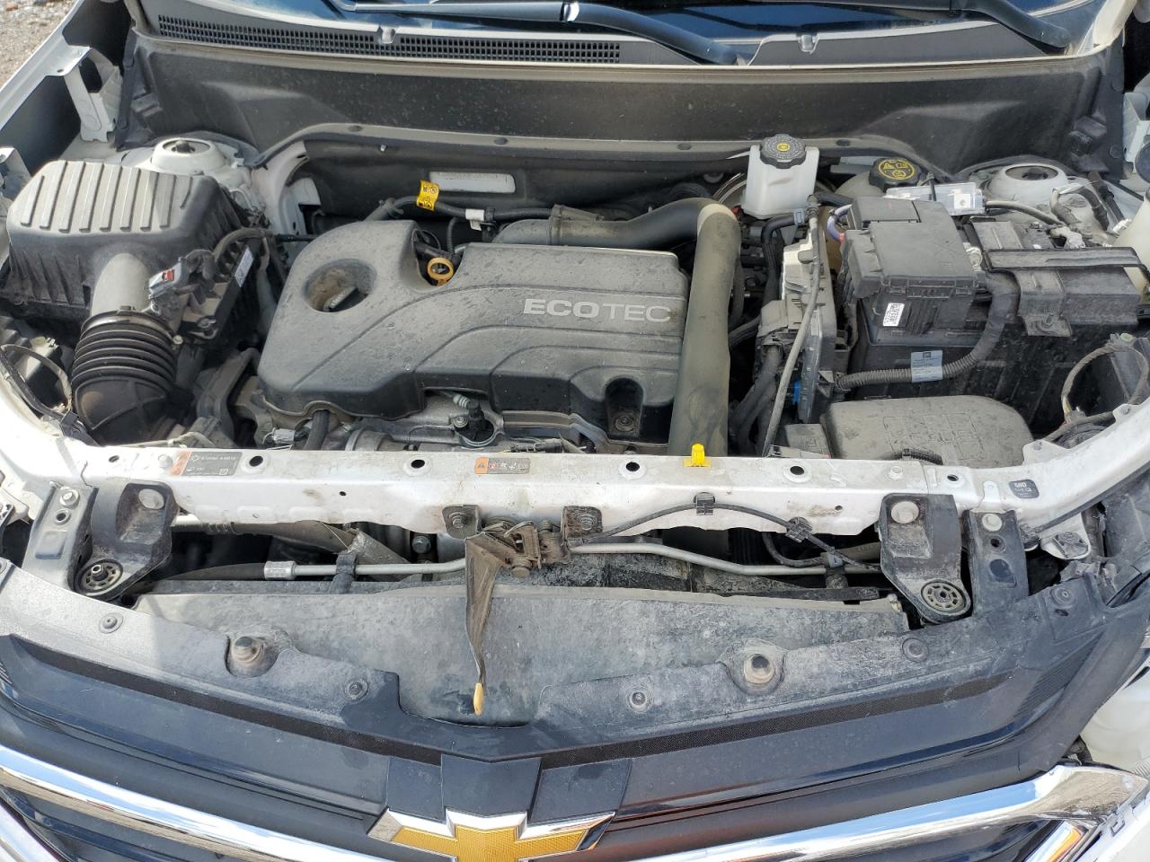 2019 Chevrolet Equinox Ls VIN: 3GNAXSEV2KS667056 Lot: 81416195