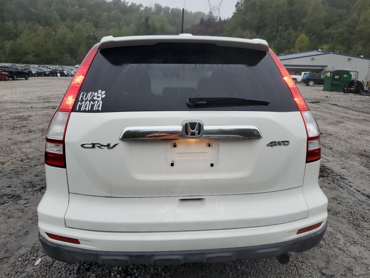 2010 Honda Cr-V Exl VIN: 5J6RE4H73AL080423 Lot: 84016055