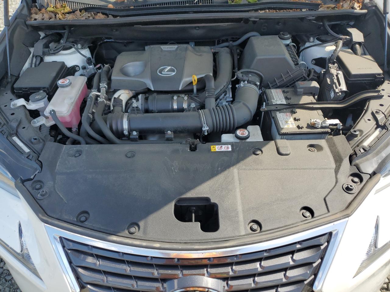 2021 Lexus Nx 300 Base VIN: JTJDARDZ7M5025334 Lot: 71412525