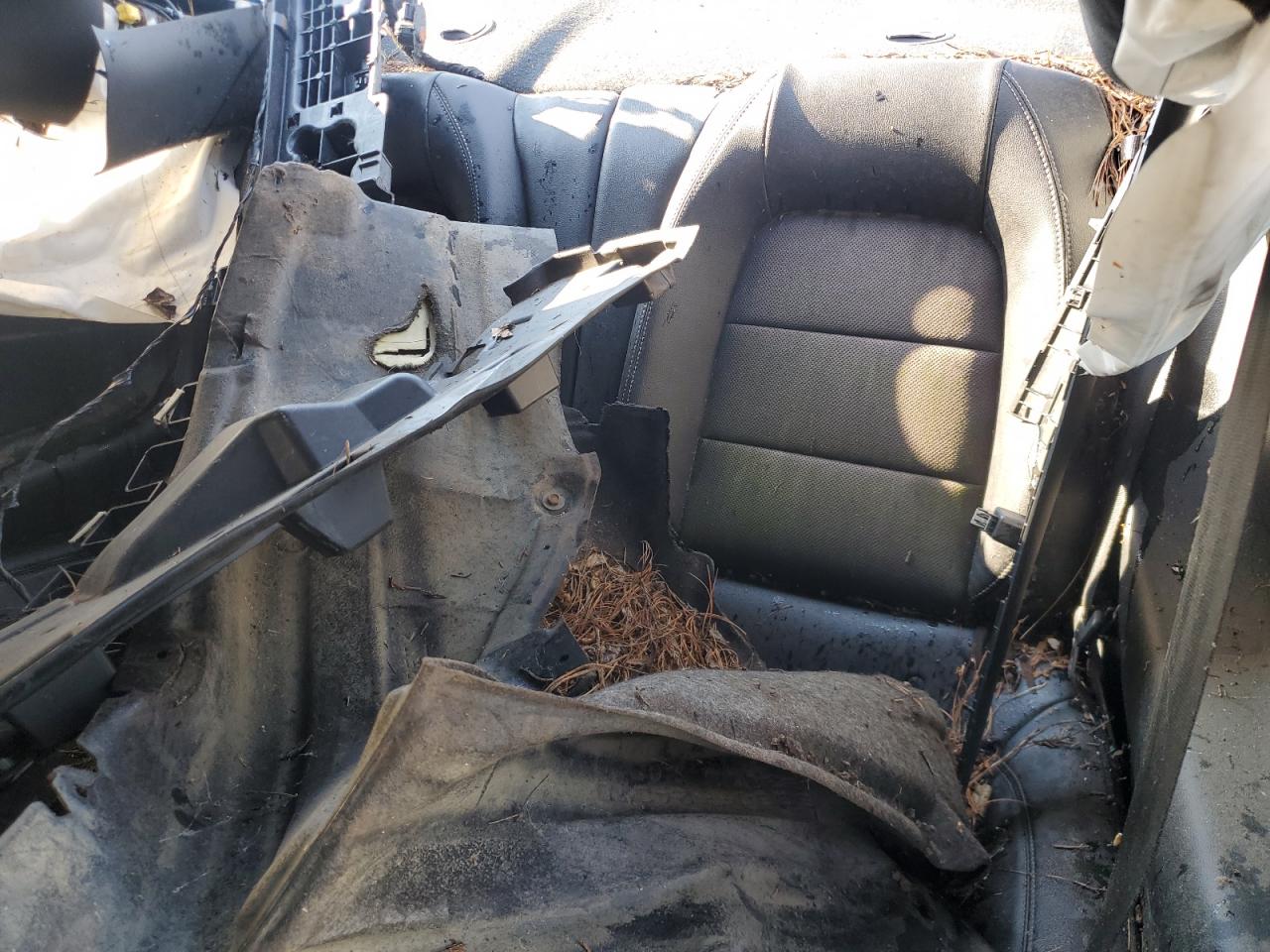 2019 Ford Mustang Gt VIN: 1FA6P8CFXK5174318 Lot: 80312855