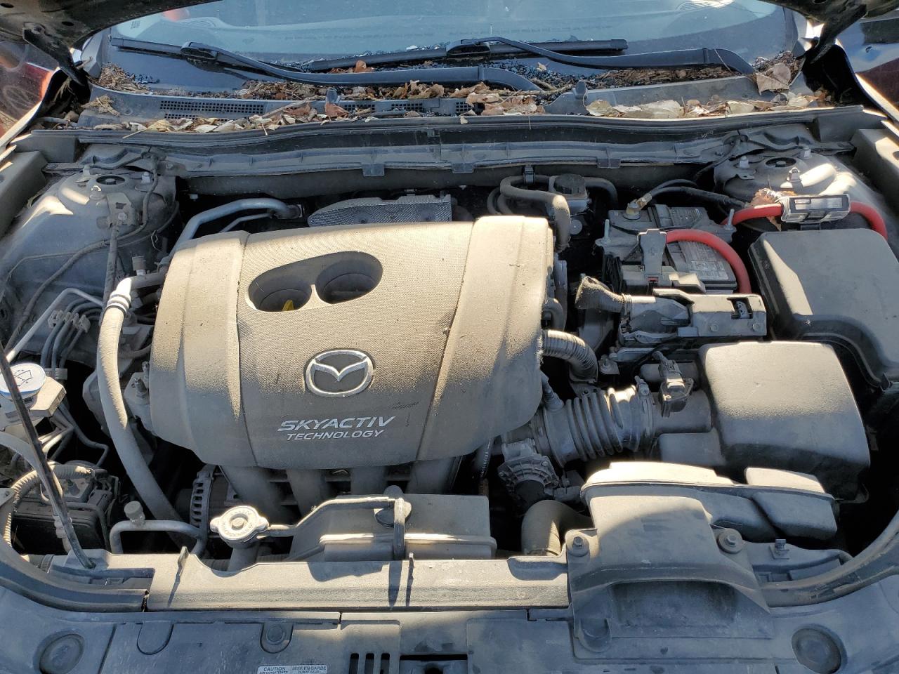 2016 Mazda 3 Touring VIN: JM1BM1V71G1278824 Lot: 70515115