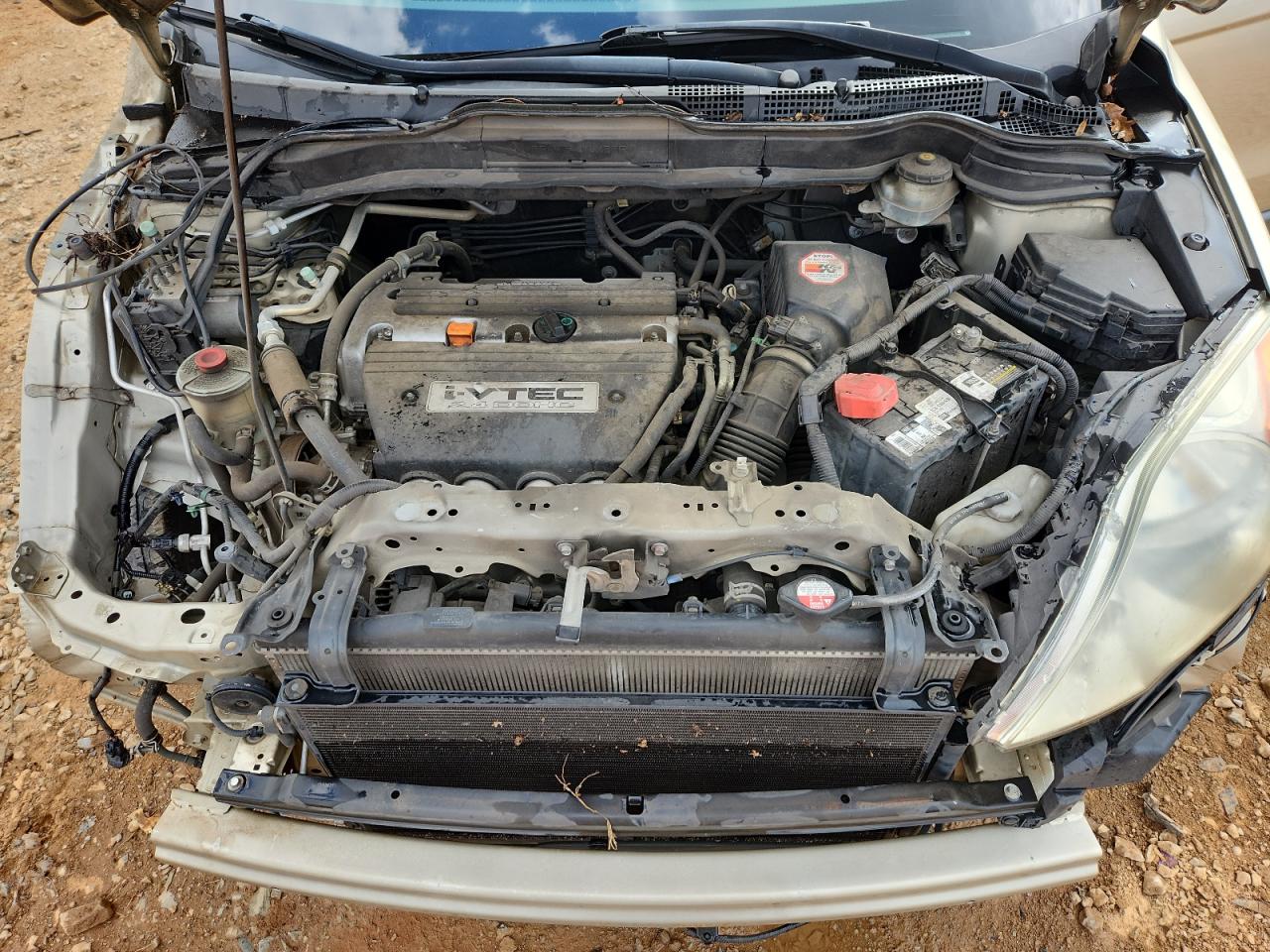 2009 Honda Cr-V Ex VIN: 5J6RE48589L018154 Lot: 81452005