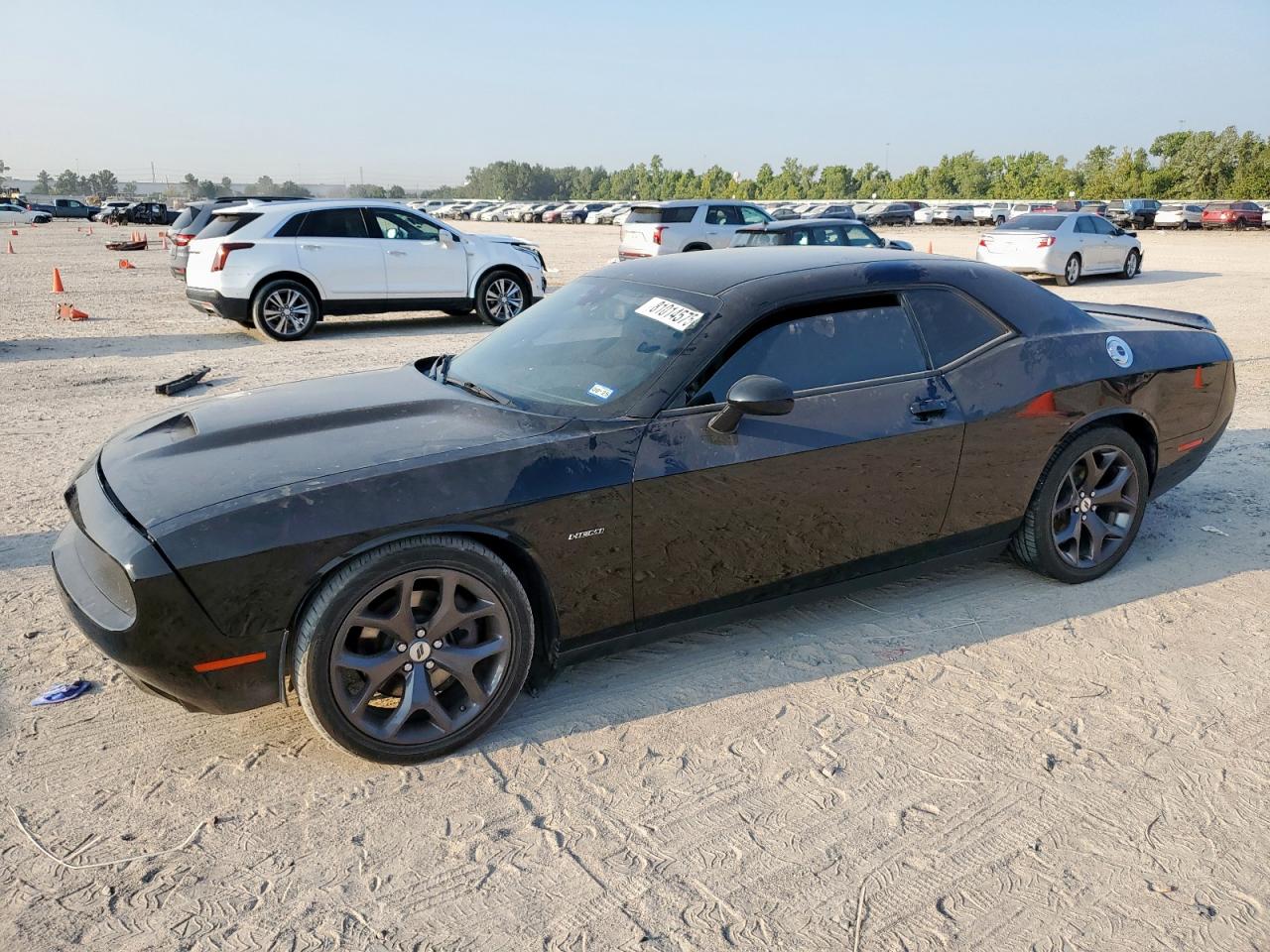 2019 Dodge Challenger R/T