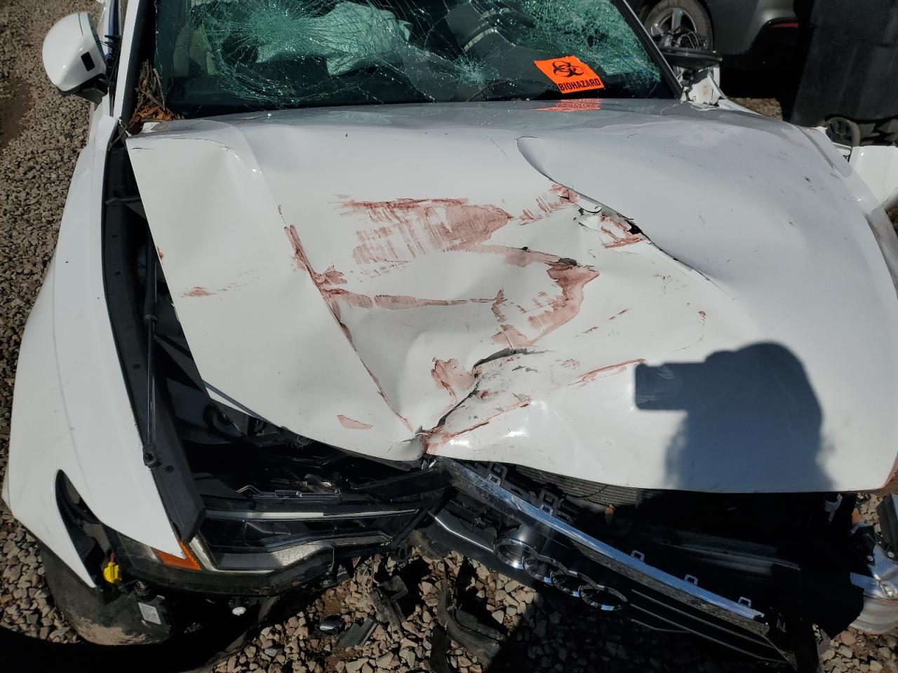 2020 Audi A6 Premium Plus VIN: WAUE8AF22LN064882 Lot: 83873605