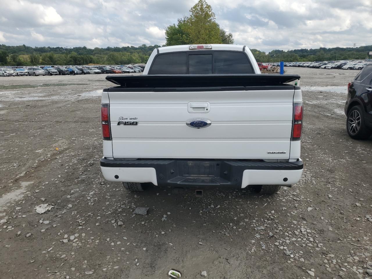 2012 Ford F150 Supercrew VIN: 1FTFW1EF7CFA29024 Lot: 81741775