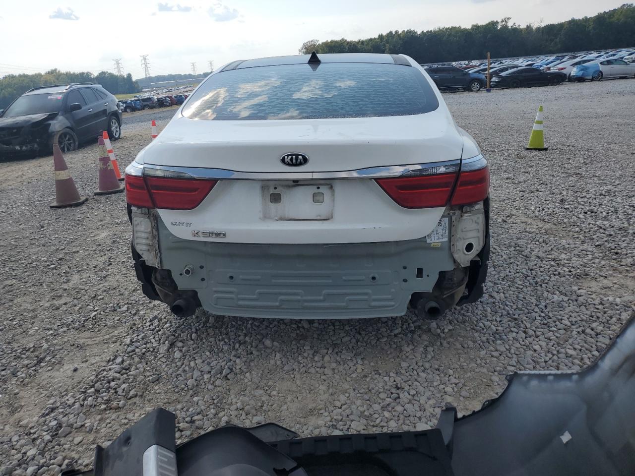 2016 Kia K900 VIN: KNALU4D31G6031498 Lot: 80117405