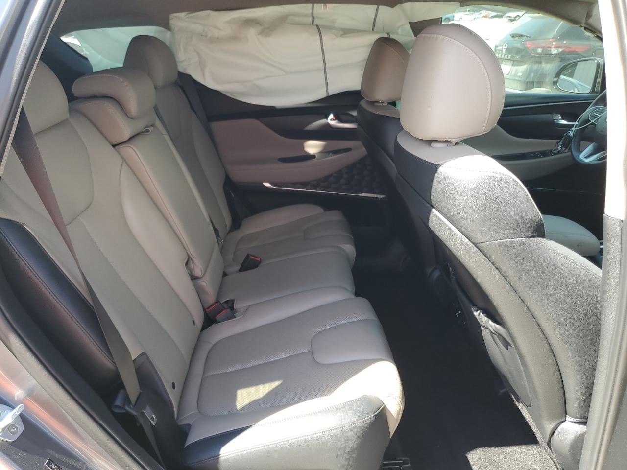 2019 Hyundai Santa Fe Limited VIN: 5NMS53AAXKH117462 Lot: 81873685