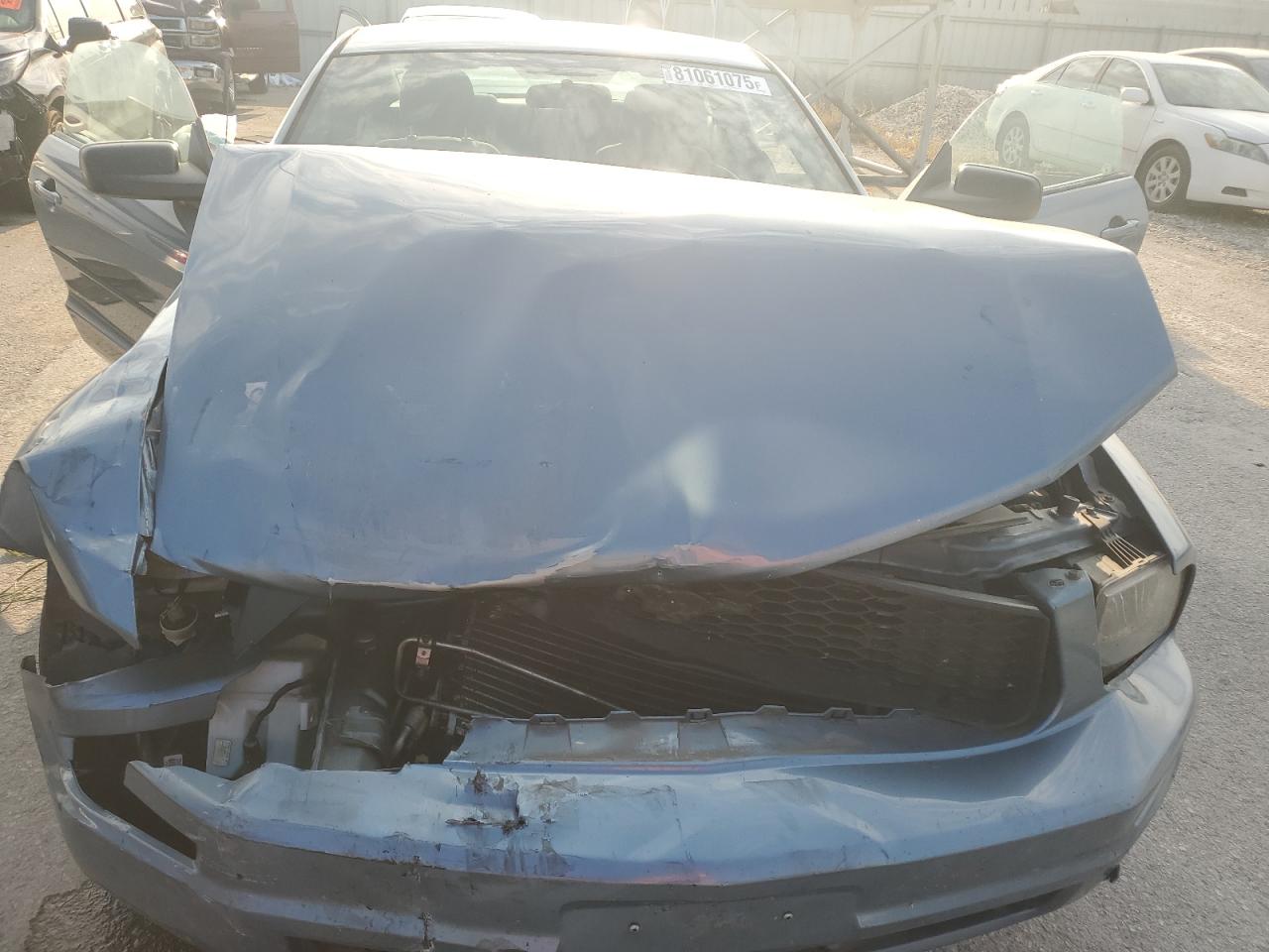 2006 Ford Mustang VIN: 1ZVFT80N265113503 Lot: 81061075
