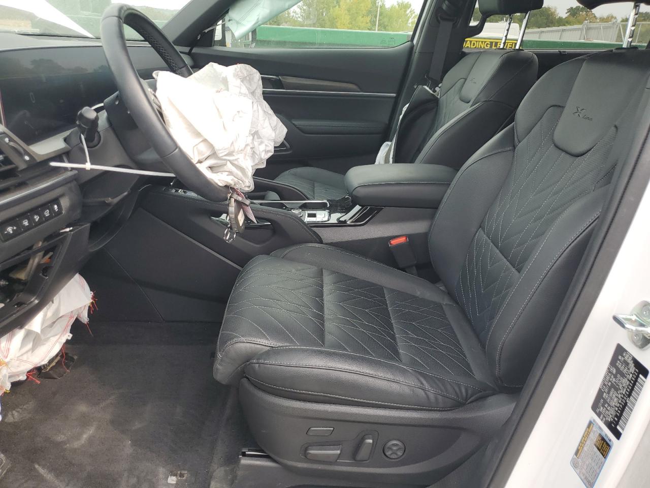 2024 Kia Telluride Sx VIN: 5XYP5DGC6RG549023 Lot: 81596325