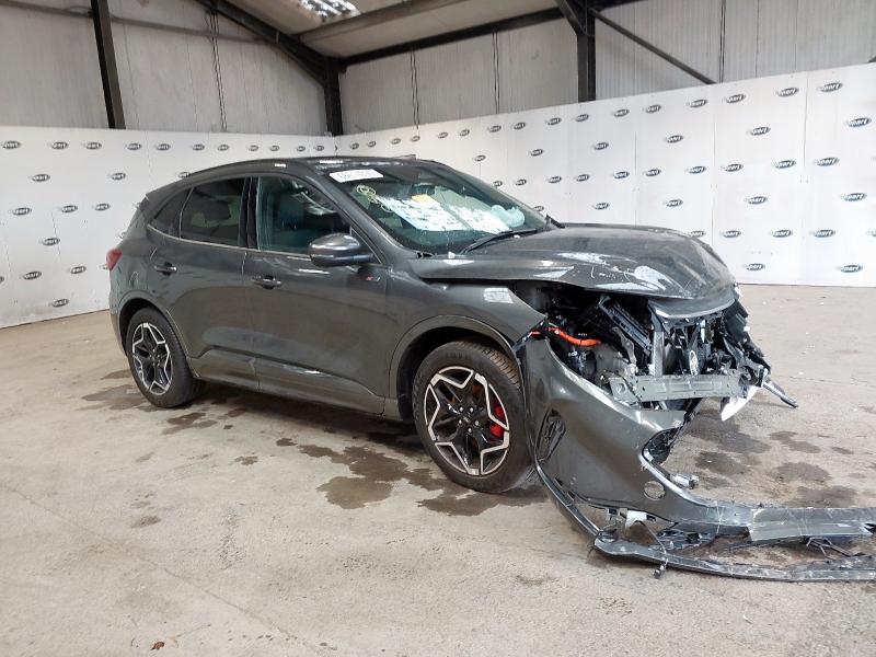 2025 FORD KUGA ST-LINE X