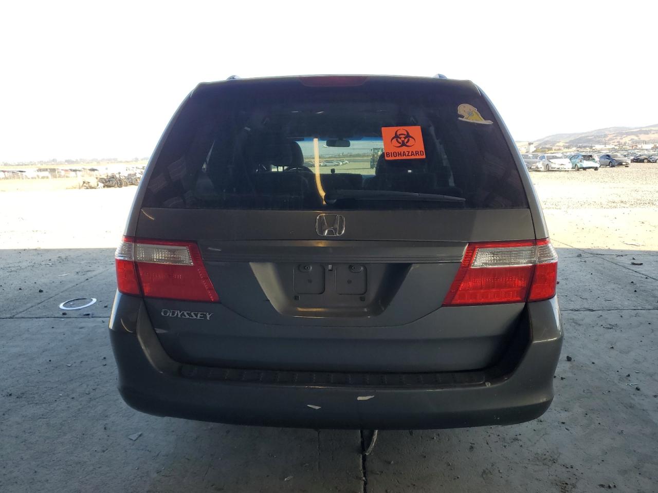 2007 Honda Odyssey Ex VIN: 5FNRL38487B422066 Lot: 81614875
