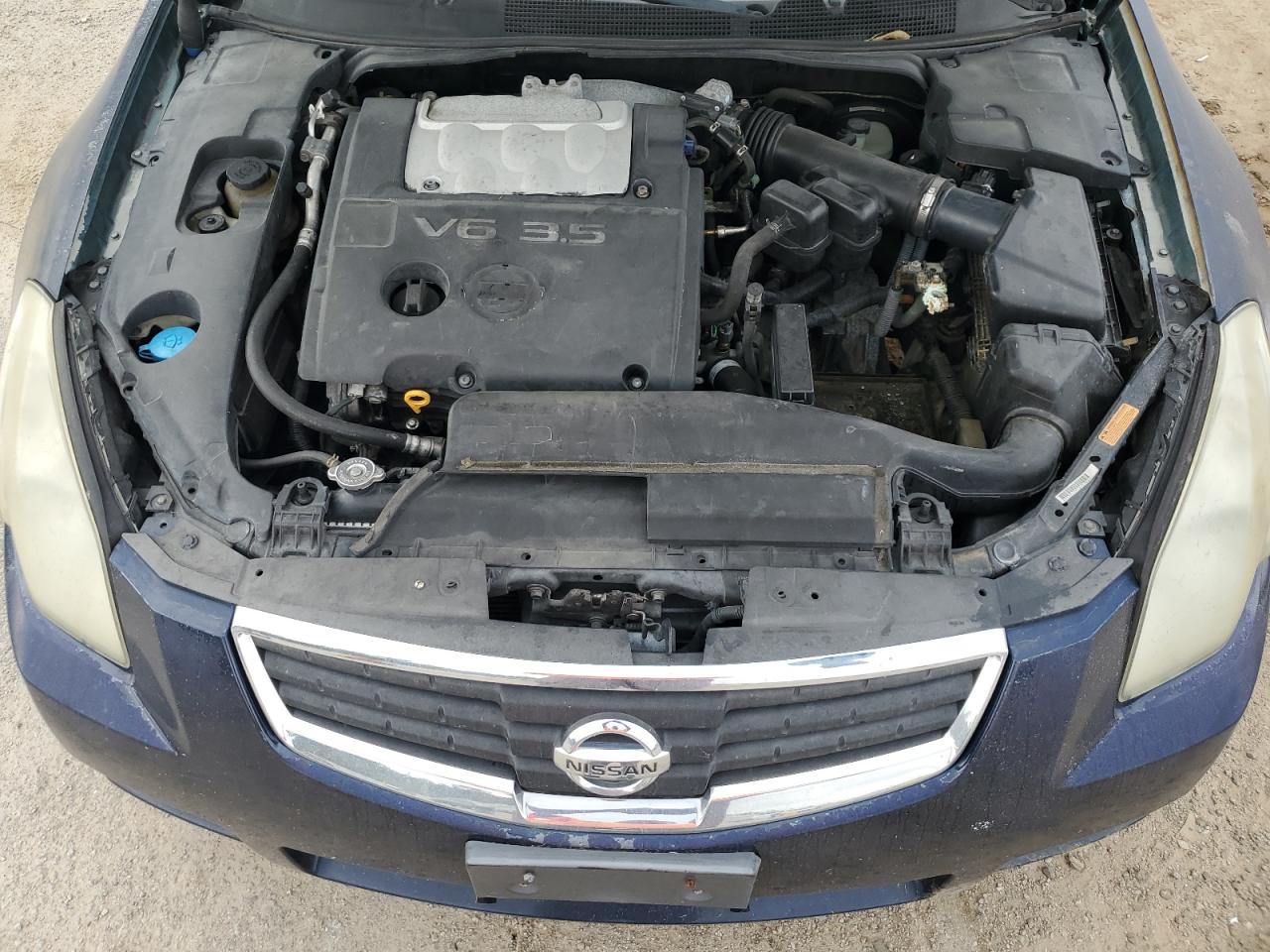 2007 Nissan Maxima Se VIN: 1N4BA41E17C818388 Lot: 71888895