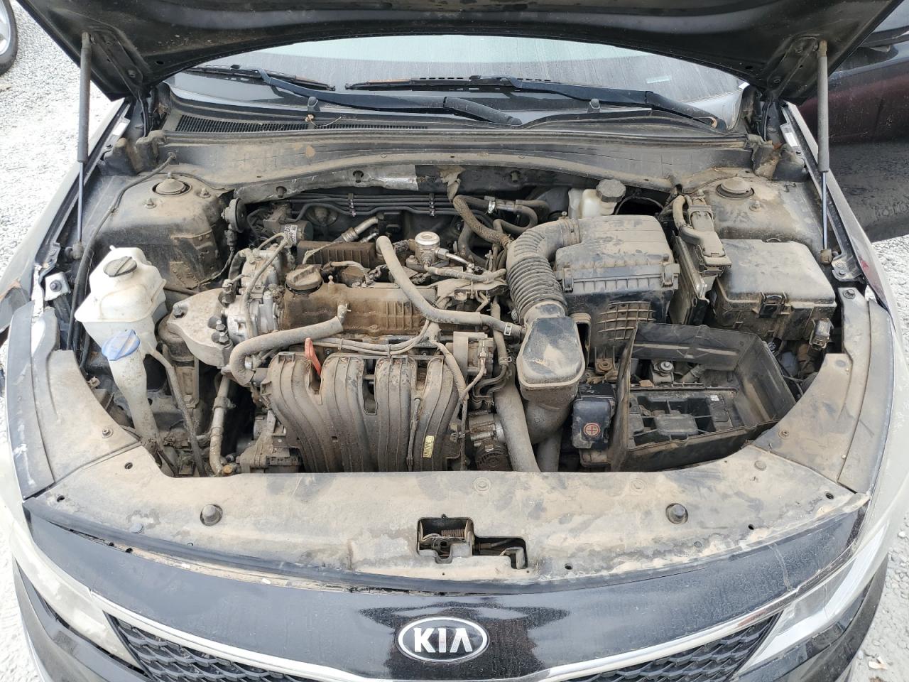 2016 Kia Optima Lx VIN: 5XXGT4L38GG088565 Lot: 81160685