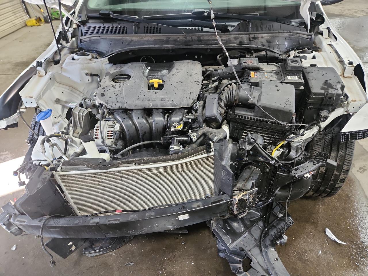 2019 Kia Forte Fe VIN: 3KPF24AD2KE064547 Lot: 80249375