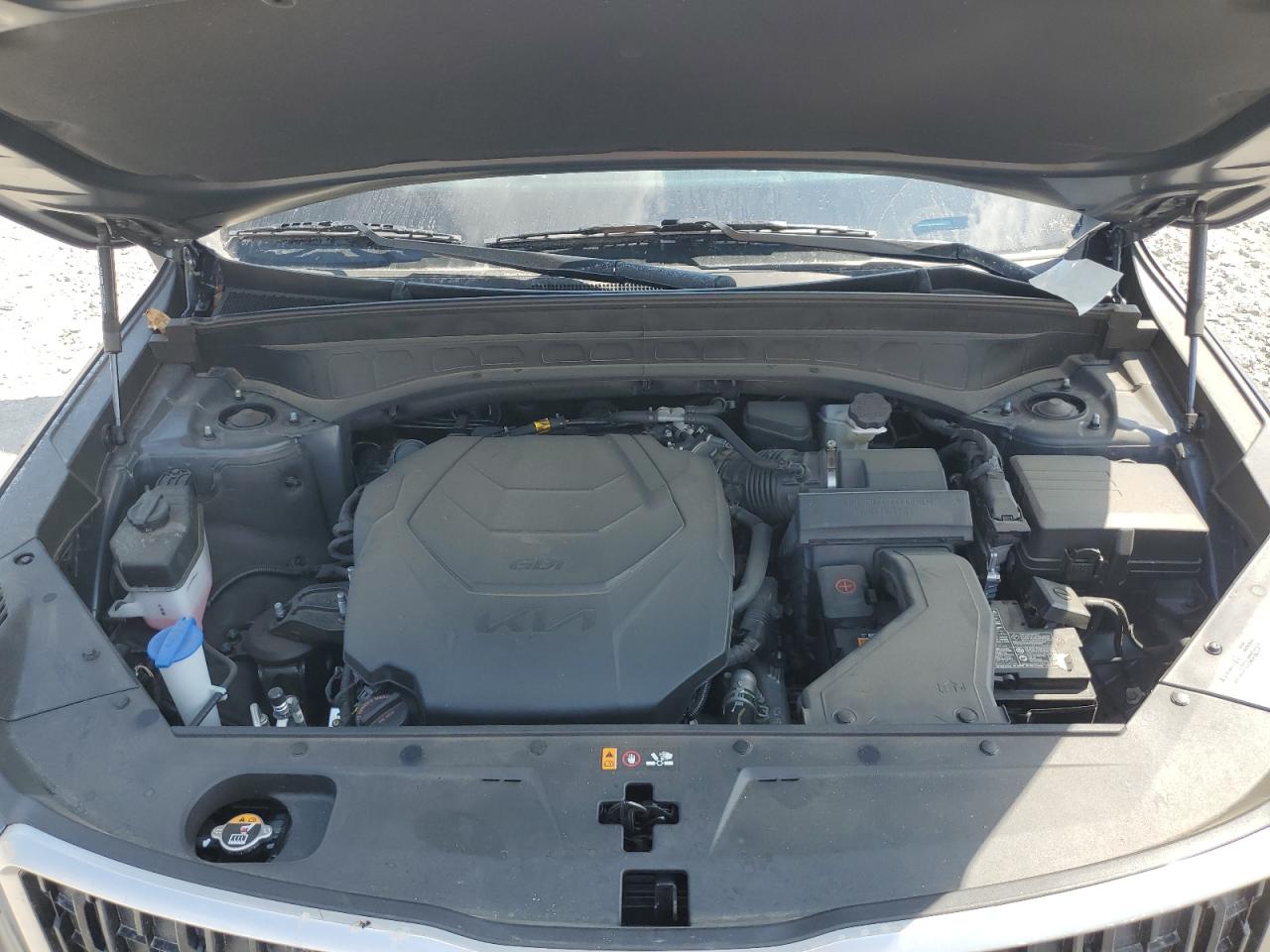 2024 Kia Telluride Ex VIN: 5XYP34GC5RG481867 Lot: 81043795