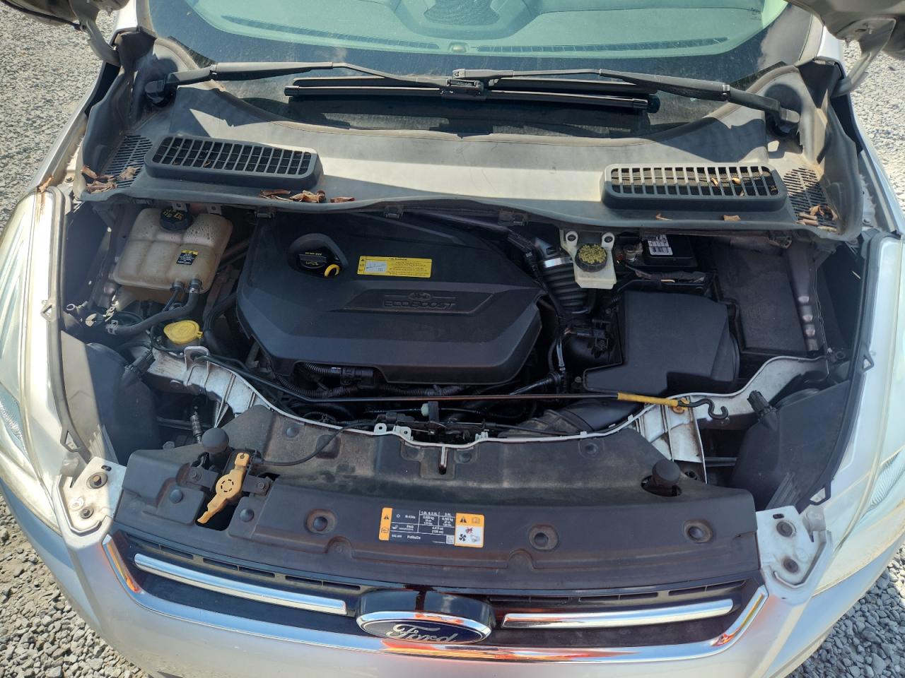 2013 Ford Escape Sel VIN: 1FMCU0HX5DUA95507 Lot: 83812915