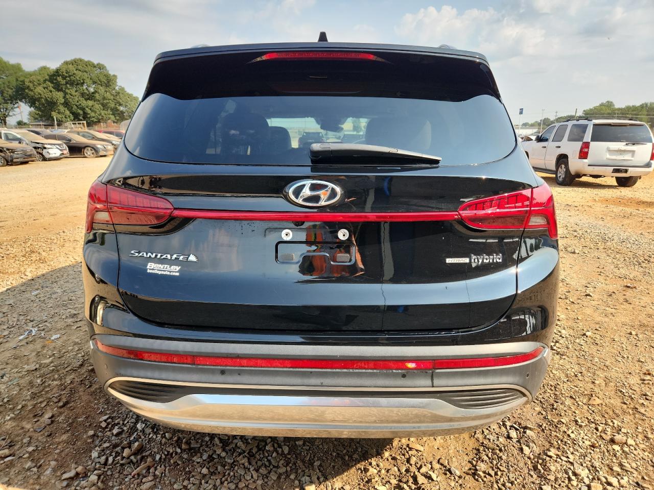2023 Hyundai Santa Fe Limited VIN: 5NMS5DA13PH002392 Lot: 80324795
