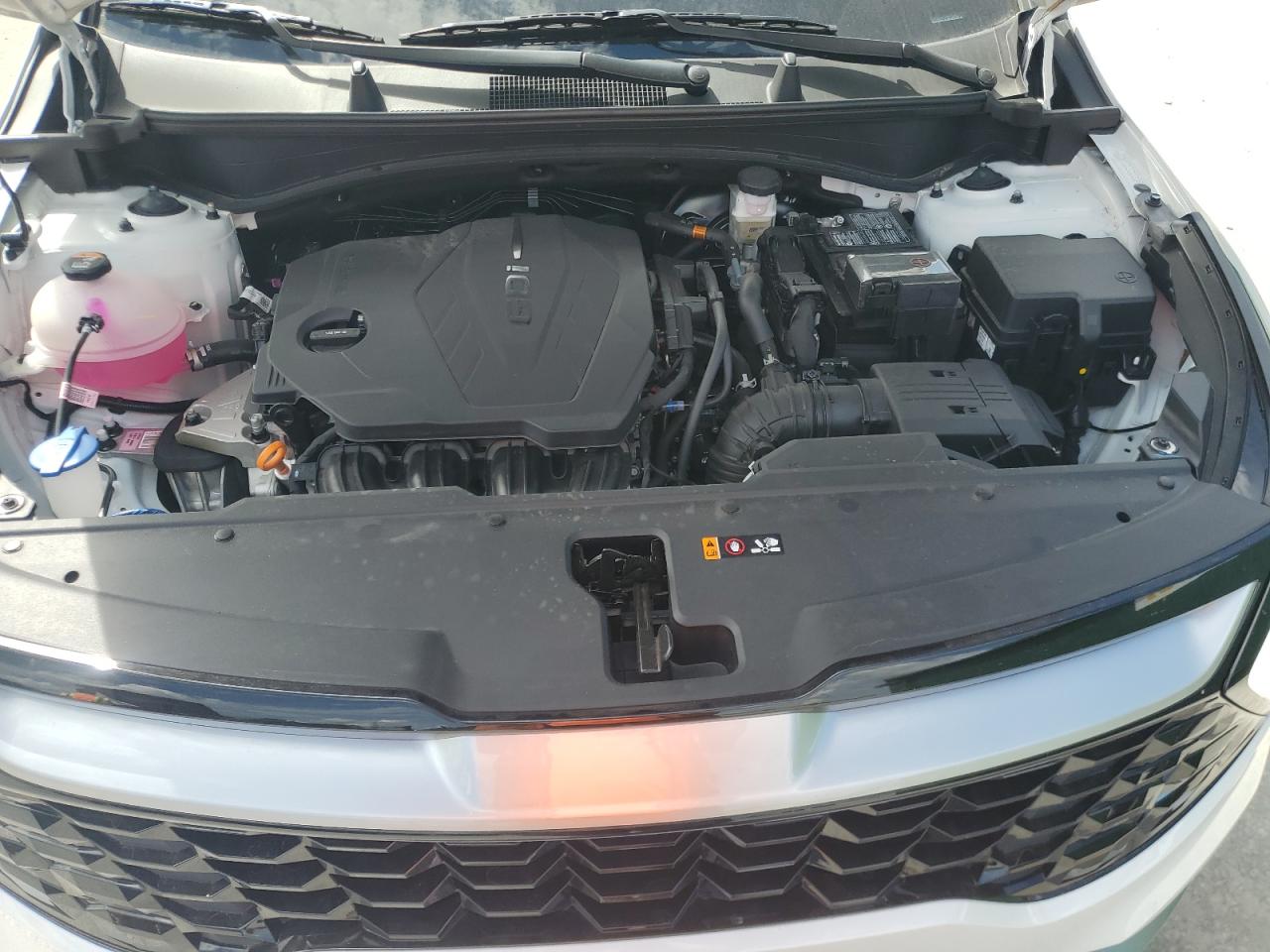 2025 Kia Sportage Ex VIN: 5XYK33DF7SG310613 Lot: 72065185