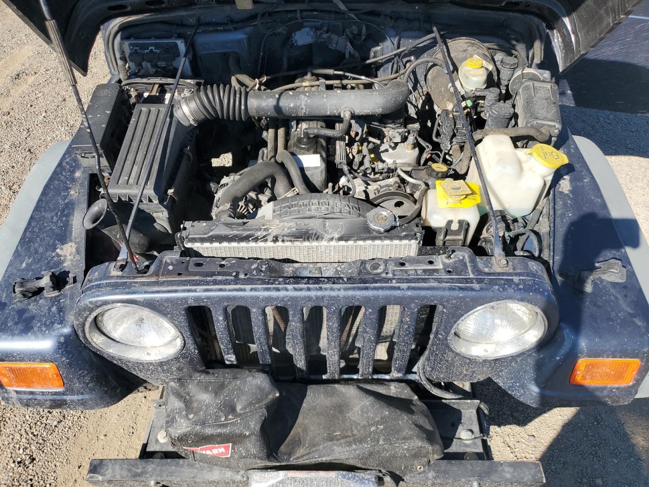 2001 Jeep Wrangler / Tj Sport VIN: 1J4FA49S81P360199 Lot: 81743645