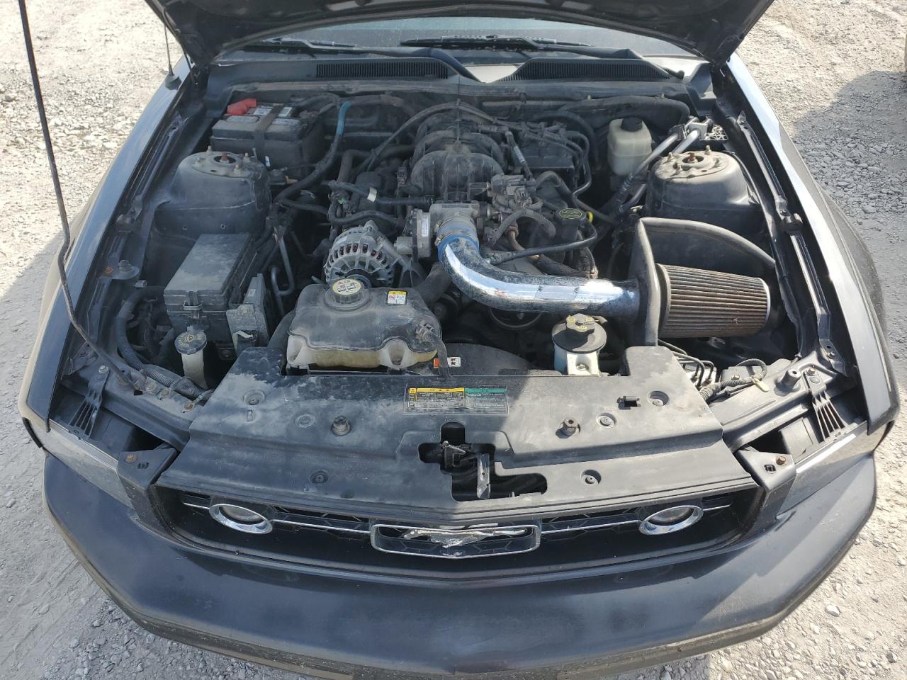 2008 Ford Mustang VIN: 1ZVHT80N985157249 Lot: 81014495