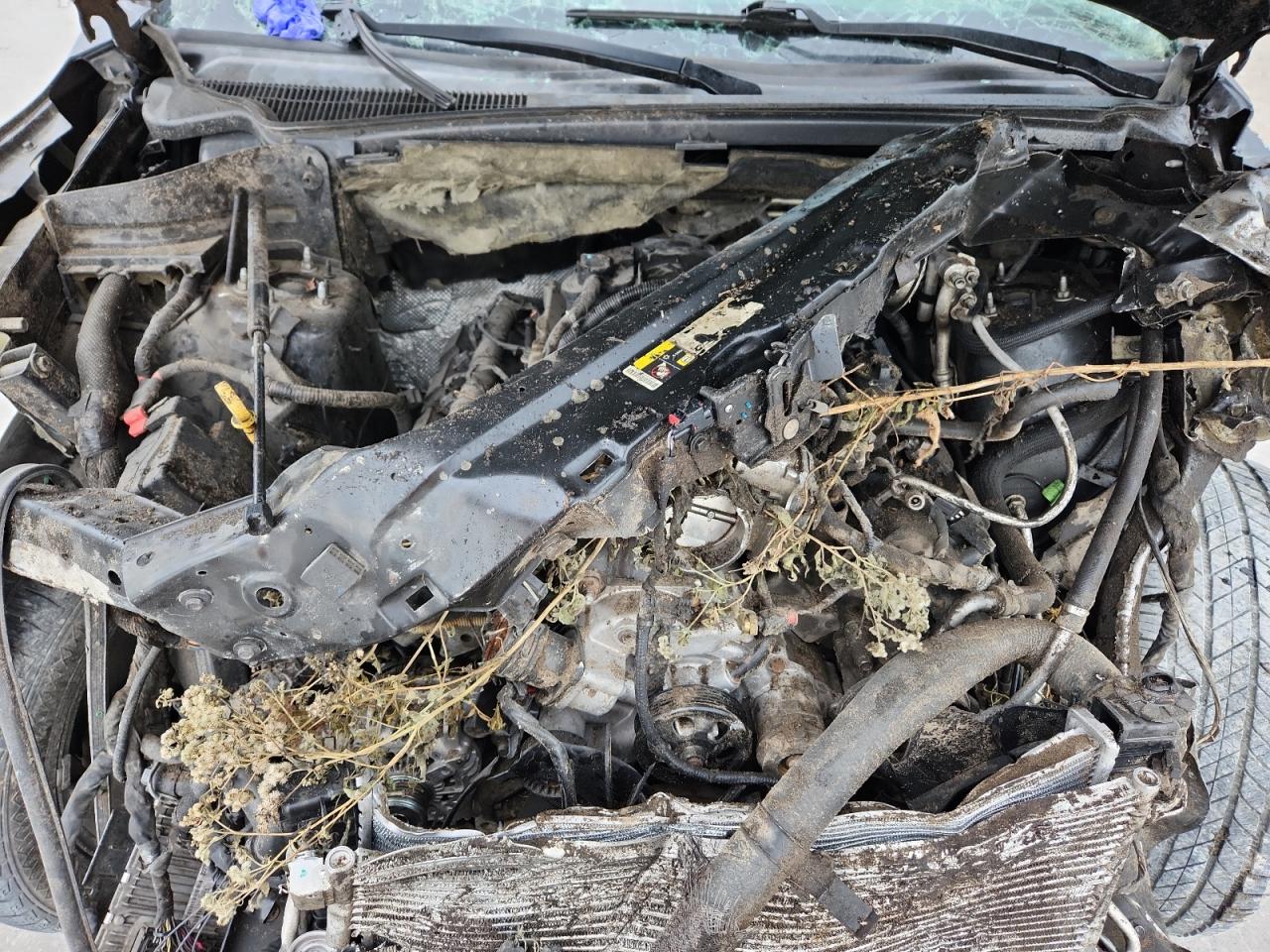 2014 Dodge Durango R/T VIN: 1C4SDHCT0EC597738 Lot: 82144725