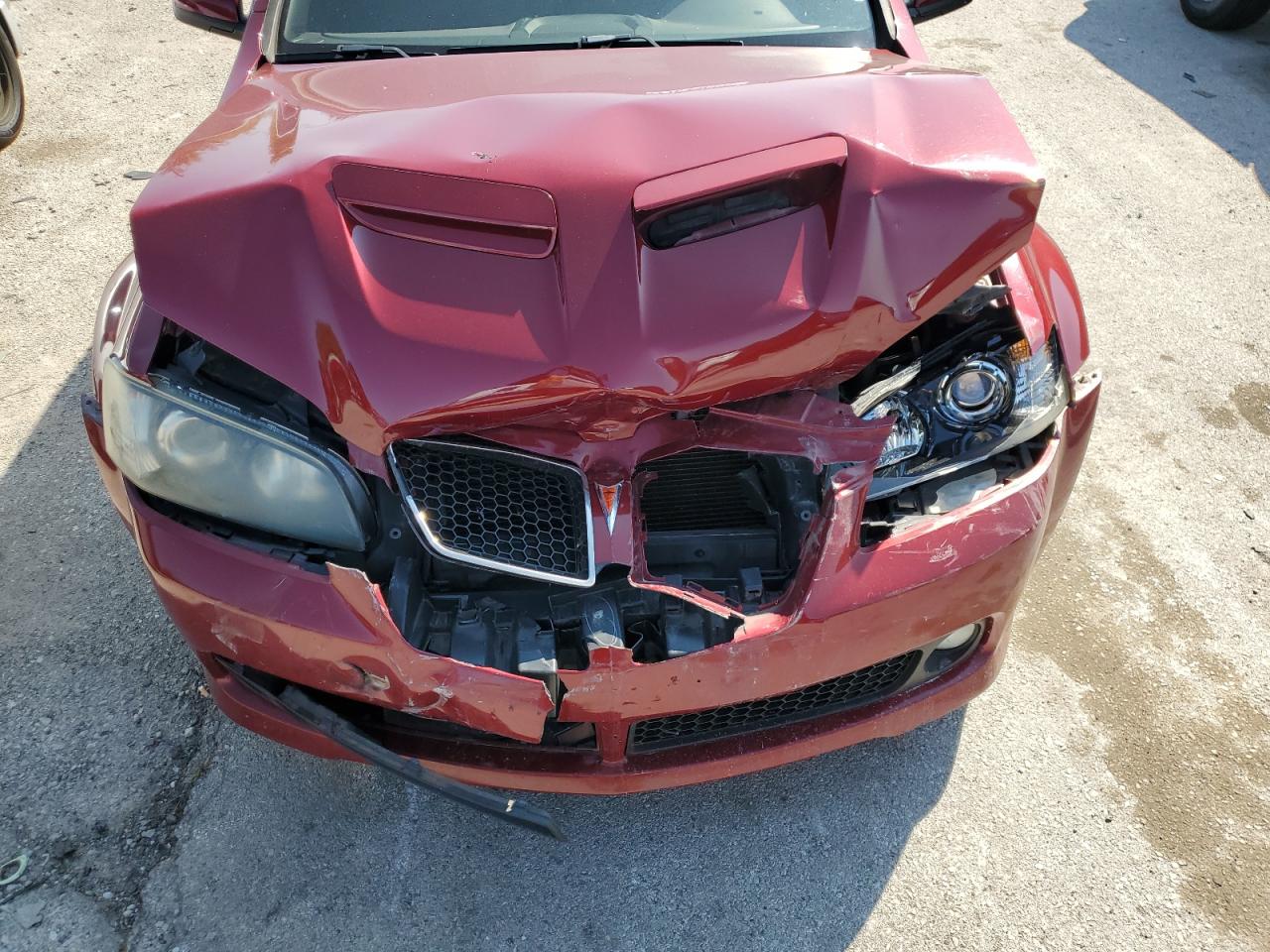 2009 Pontiac G8 VIN: 6G2ER57759L179442 Lot: 71643605