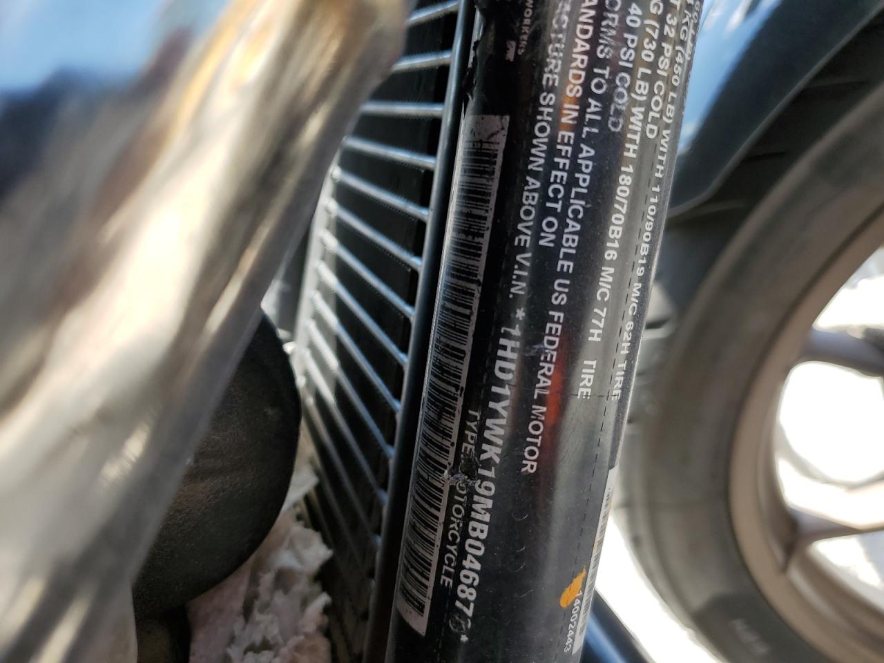 2021 Harley-Davidson Fxlrs VIN: 1HD1YWK19MB046876 Lot: 69146095