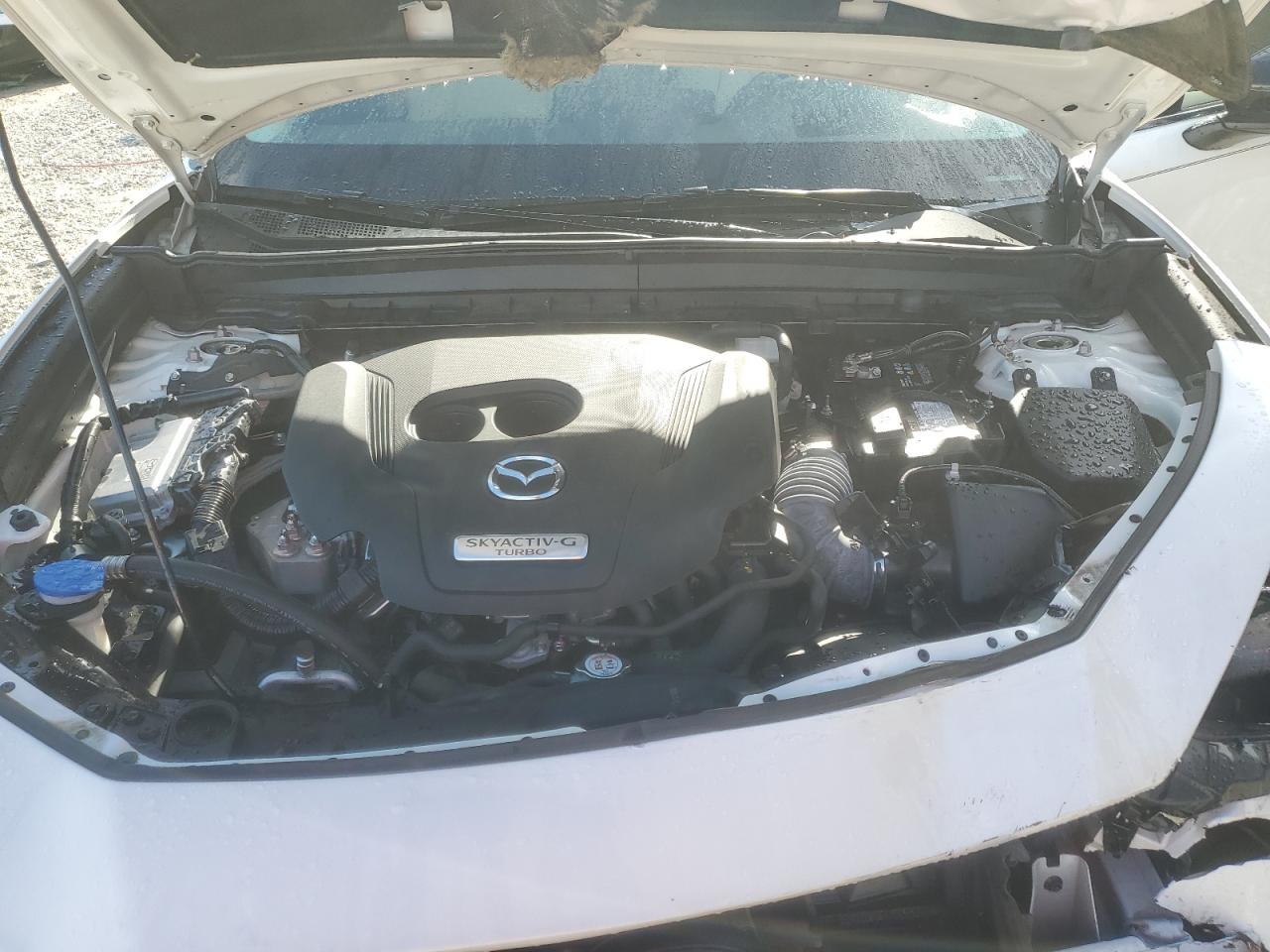 2024 Mazda Cx-30 Premium VIN: 3MVDMBDY6RM692369 Lot: 80347195