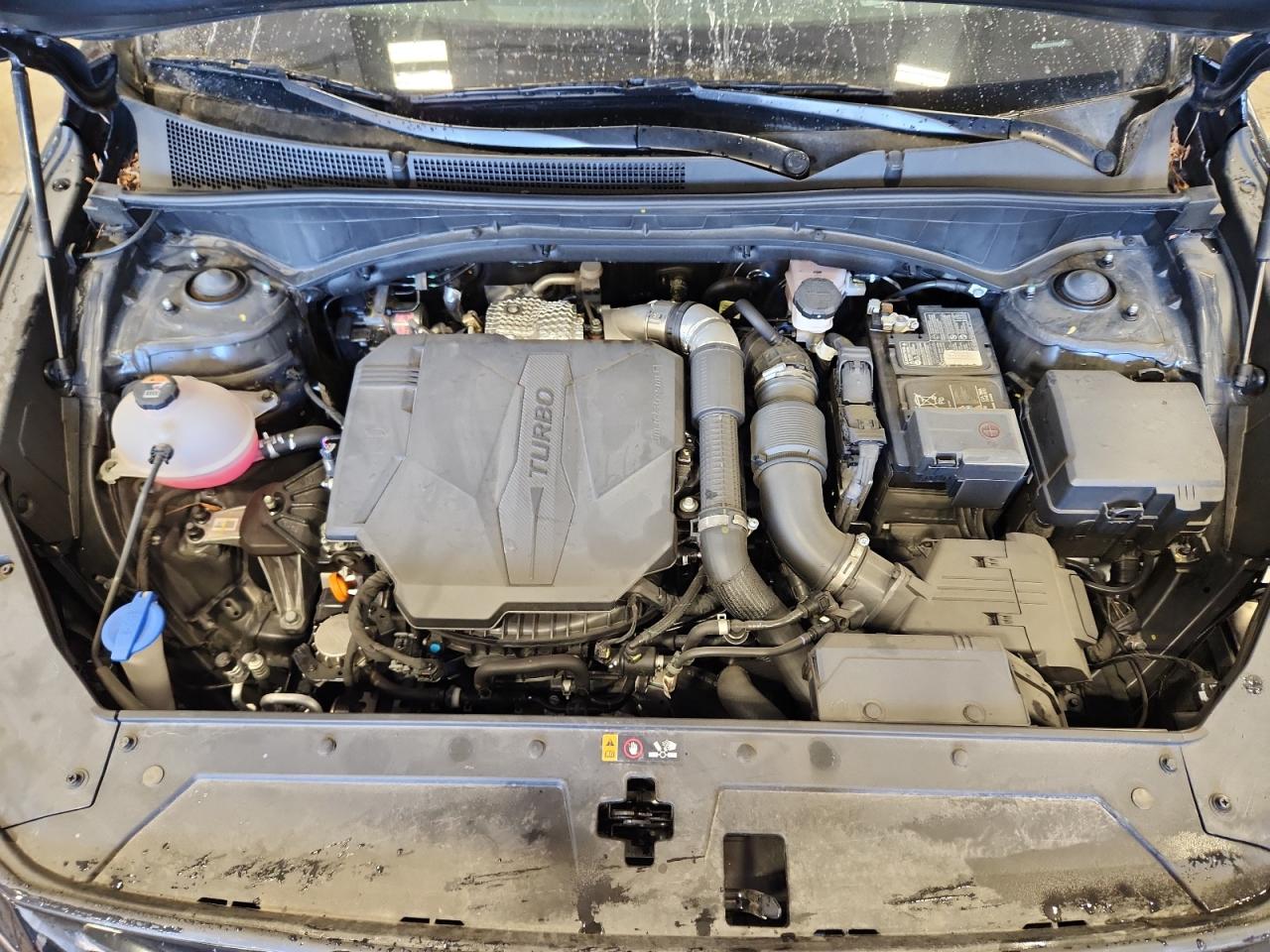 2023 Hyundai Santa Fe Calligraphy VIN: 5NMS5DAL1PH621316 Lot: 84784355