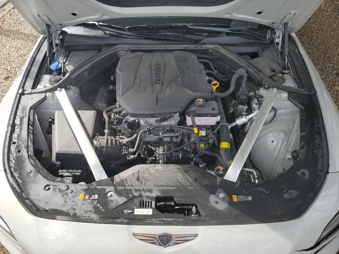 2025 Genesis G70 Base VIN: KMTG34SC6SU150941 Lot: 84601145