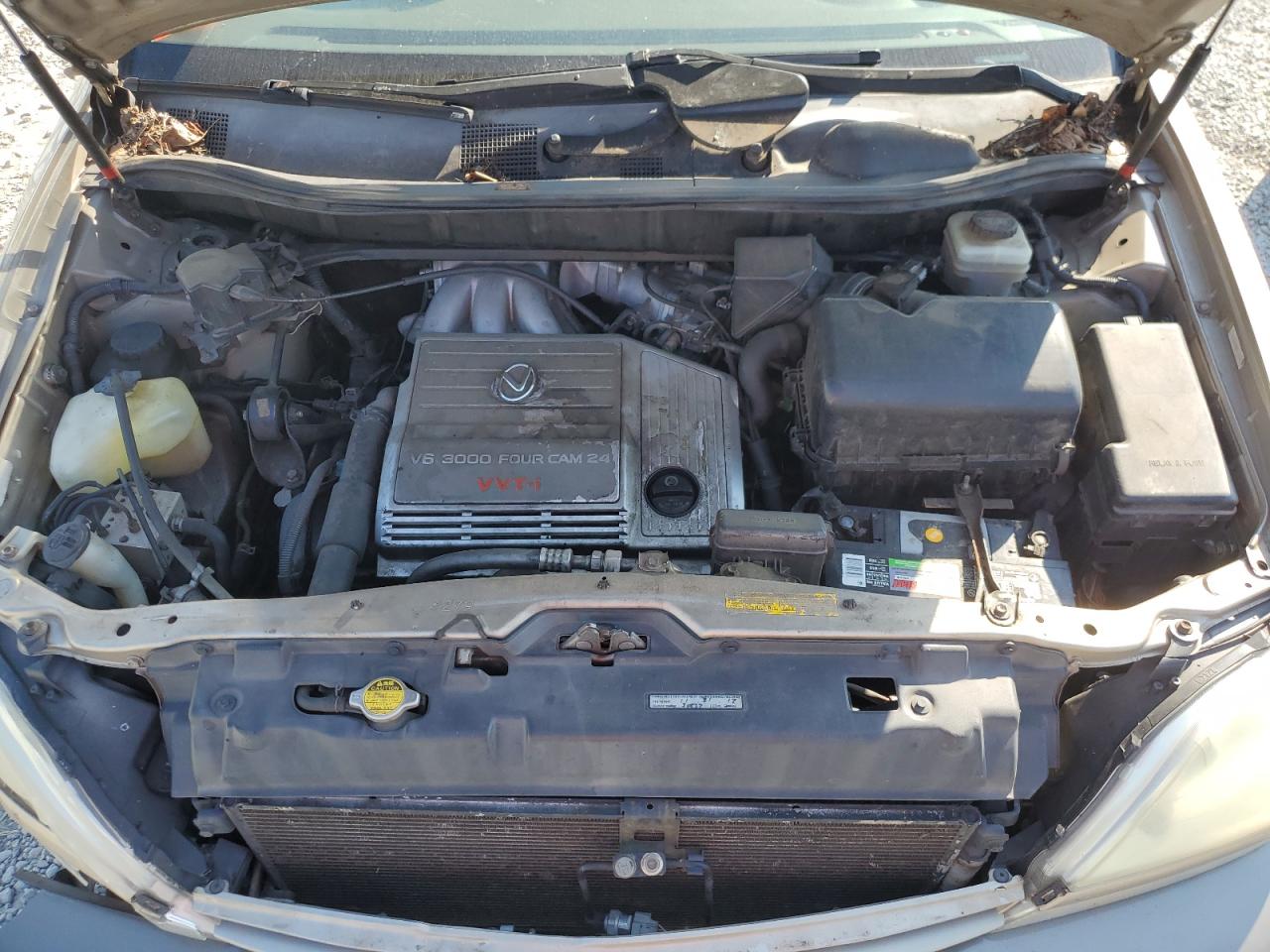 2002 Lexus Rx 300 VIN: JTJGF10UX20127831 Lot: 82098165